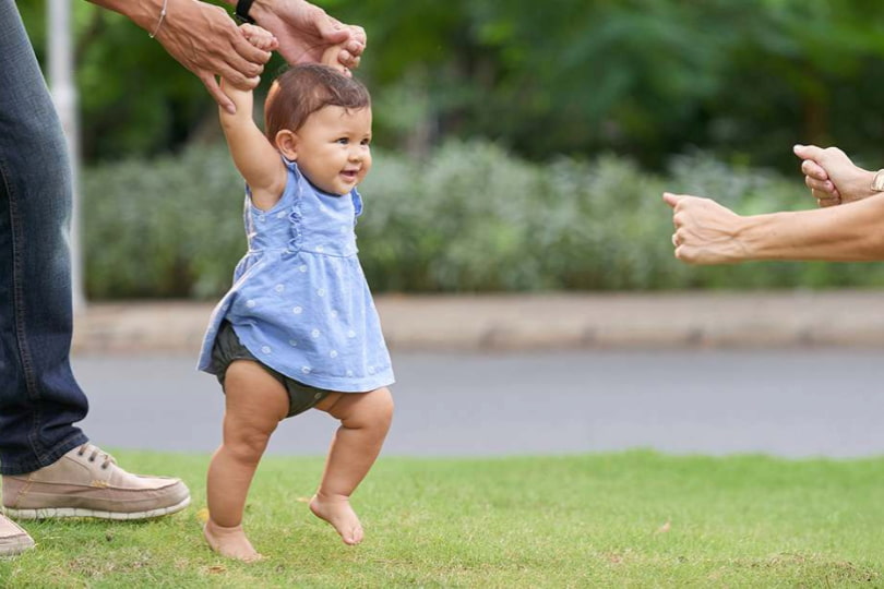 زمان و چگونگی راه افتادن کودک